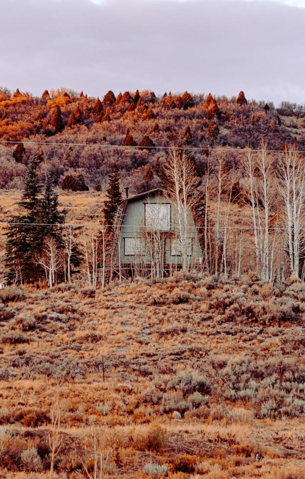 Missouri, wir, 2020 - Holzhaus auf brauner Wiese foto