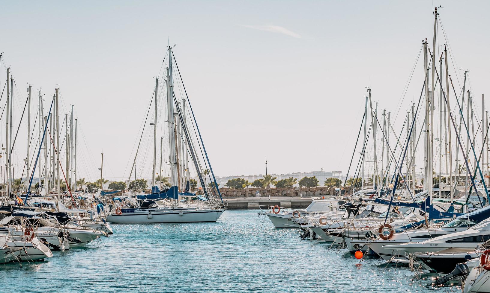 torrevieja, spanien, 2020 - weiße und blaue boote auf see tagsüber foto