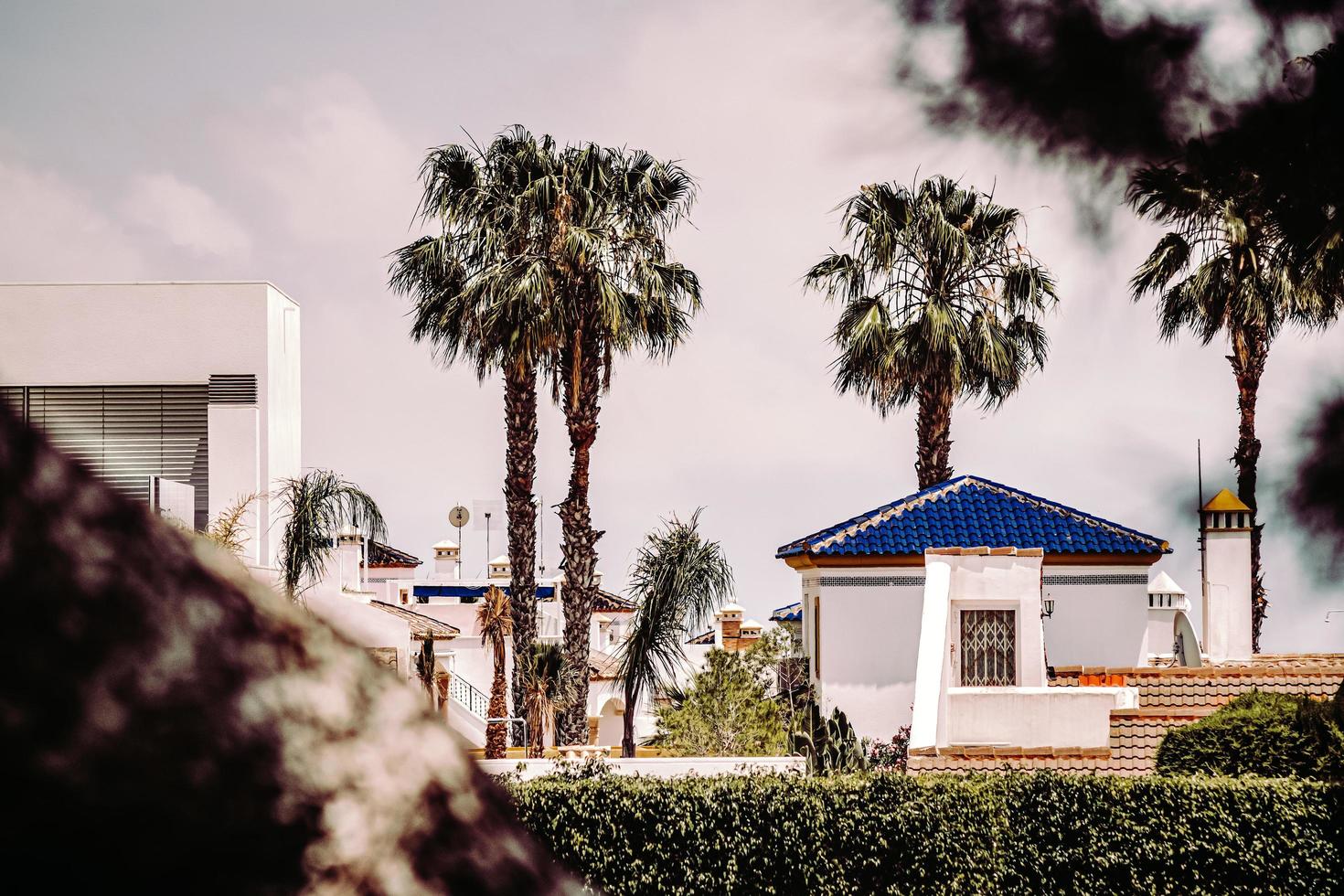 Oriheula, Spanien, 2020 - weißes und blaues Betongebäude in der Nähe von grünen Palmen während des Tages foto