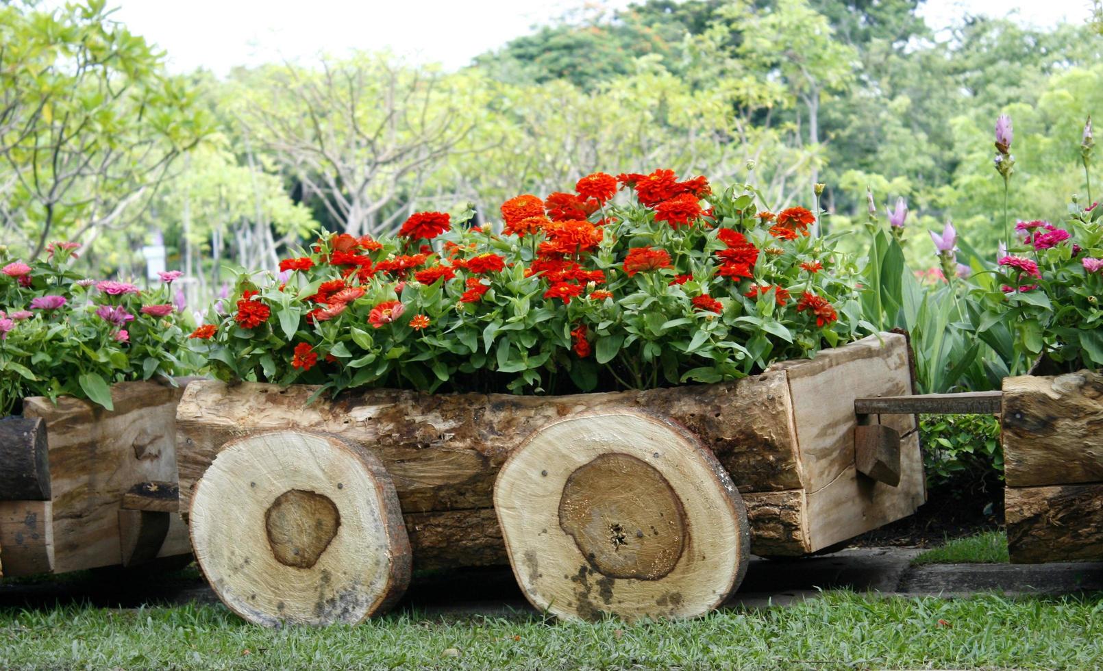 Holzwagen mit Blumen foto