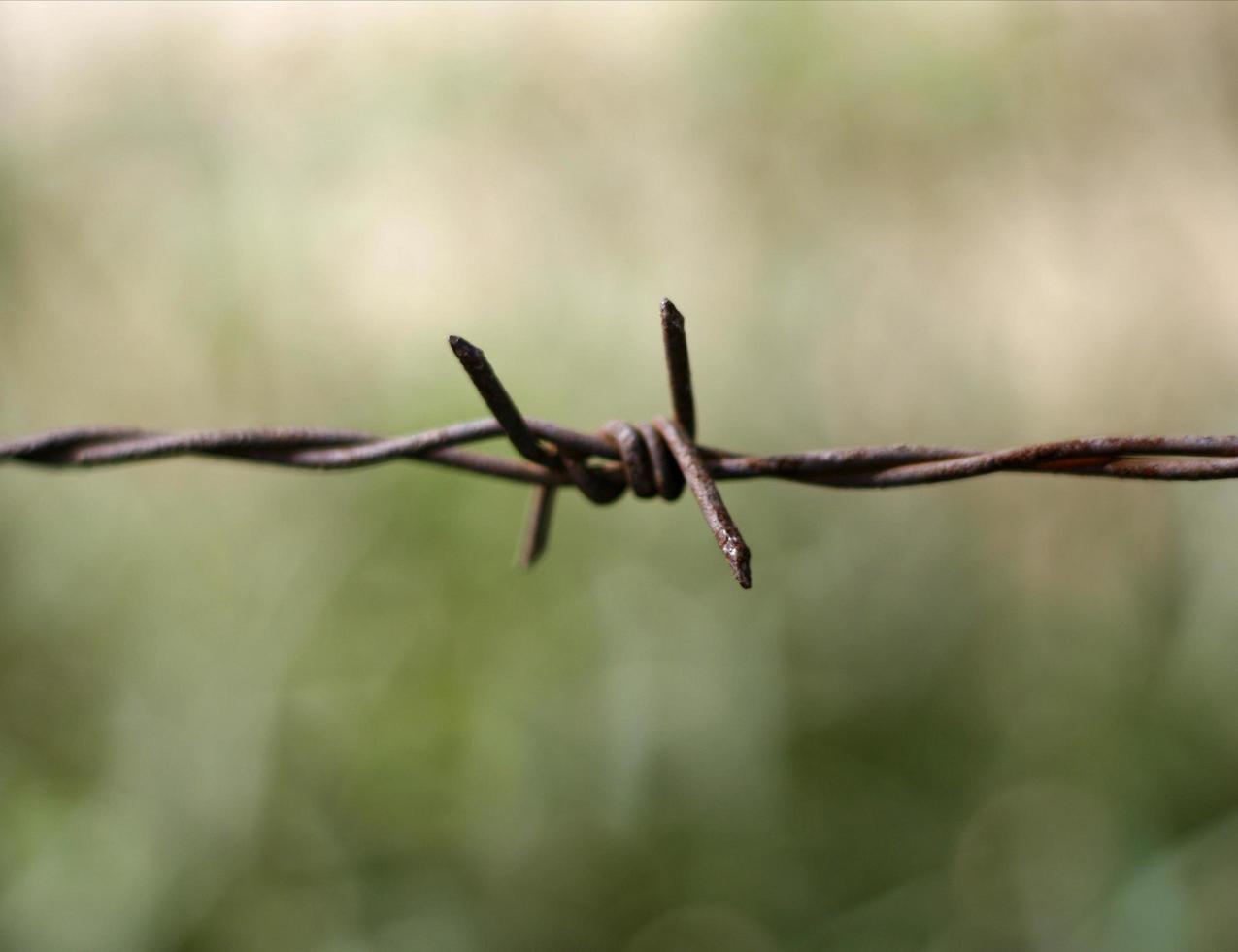 scharfer Stacheldraht foto