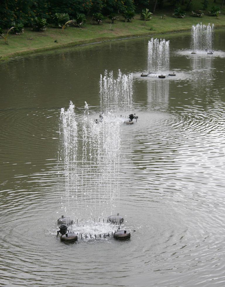 Brunnen im Park foto