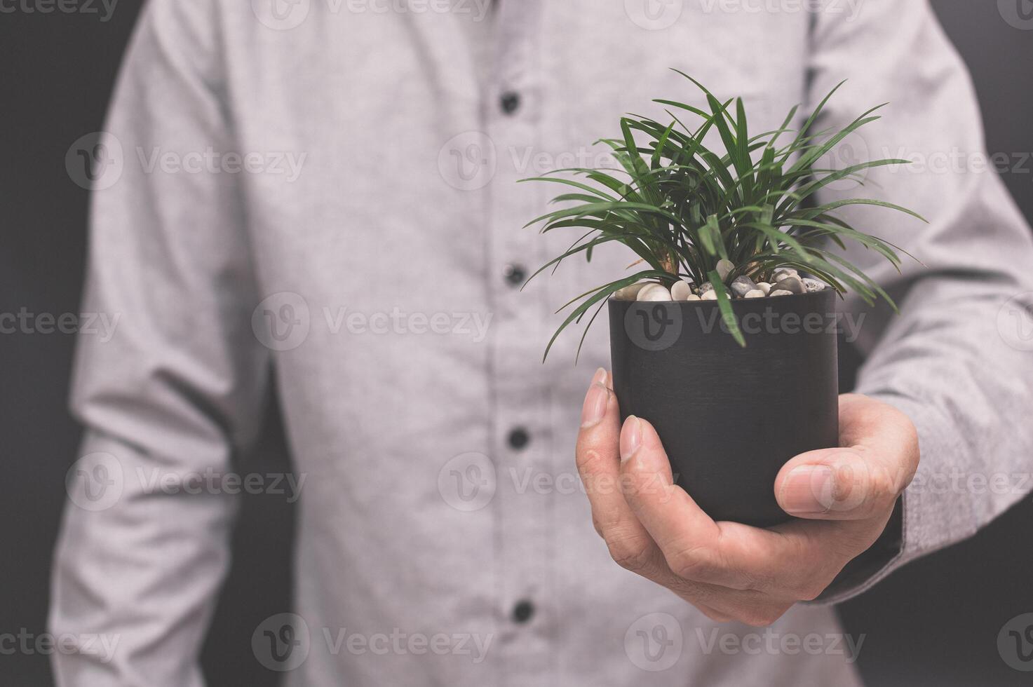 Hand hält einen Blumentopf foto