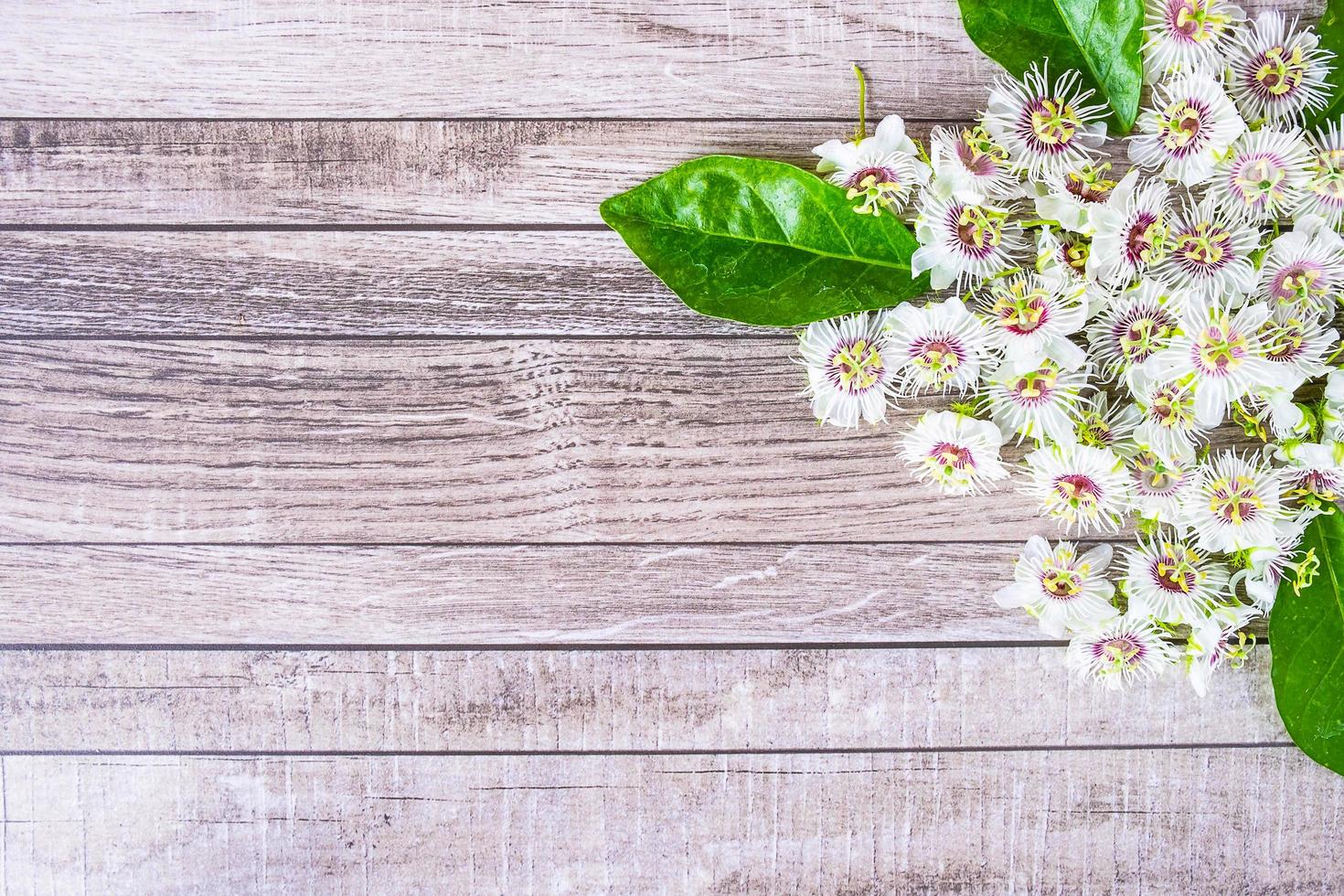 Holzhintergrund mit Blumen foto