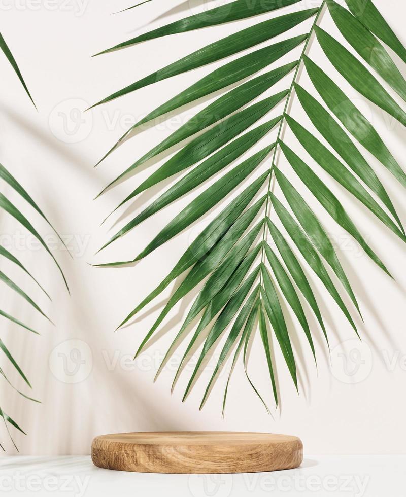 Bühne für die Präsentation von Produkten, Kosmetika mit einem runden Holzpodium und einem grünen Palmblatt. Schatten auf dem Hintergrund foto