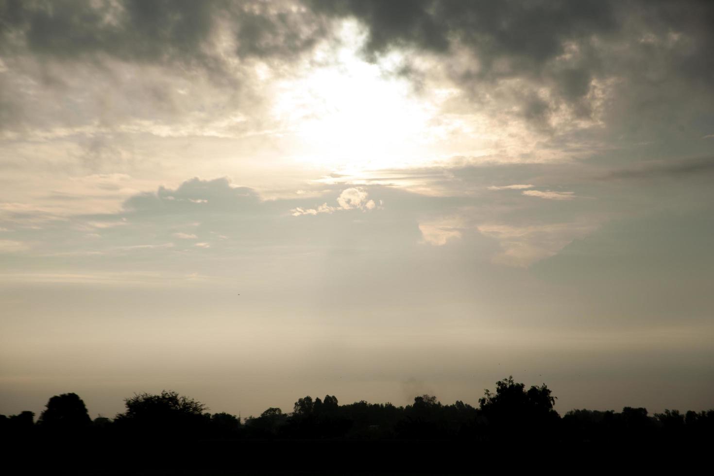 Silhouetten der Bäume foto