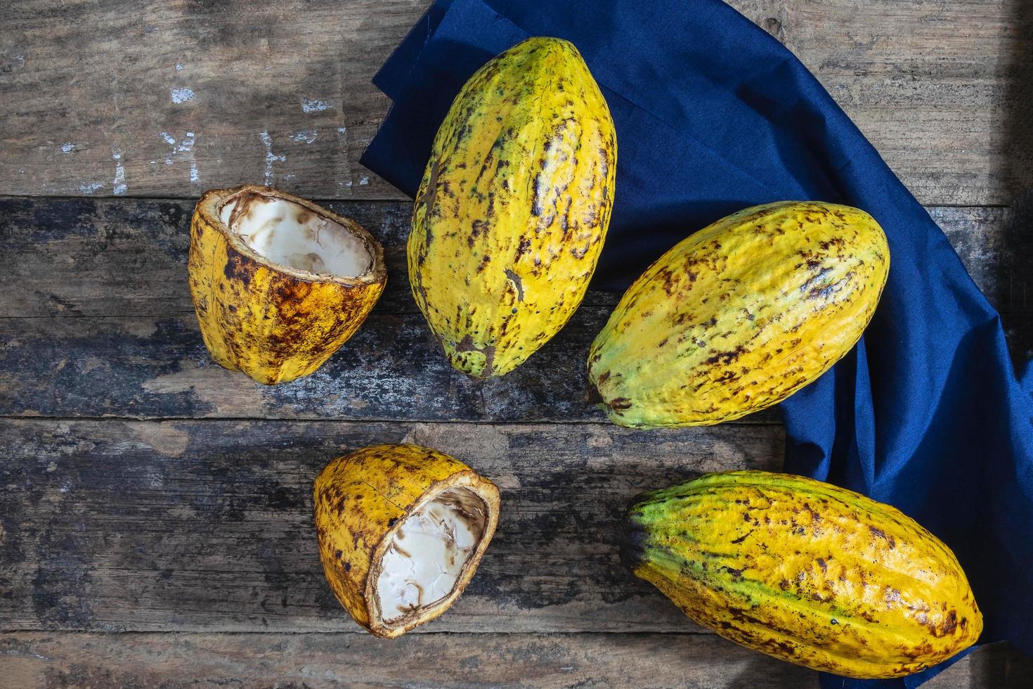 frische Kakaofrucht auf Holztisch foto