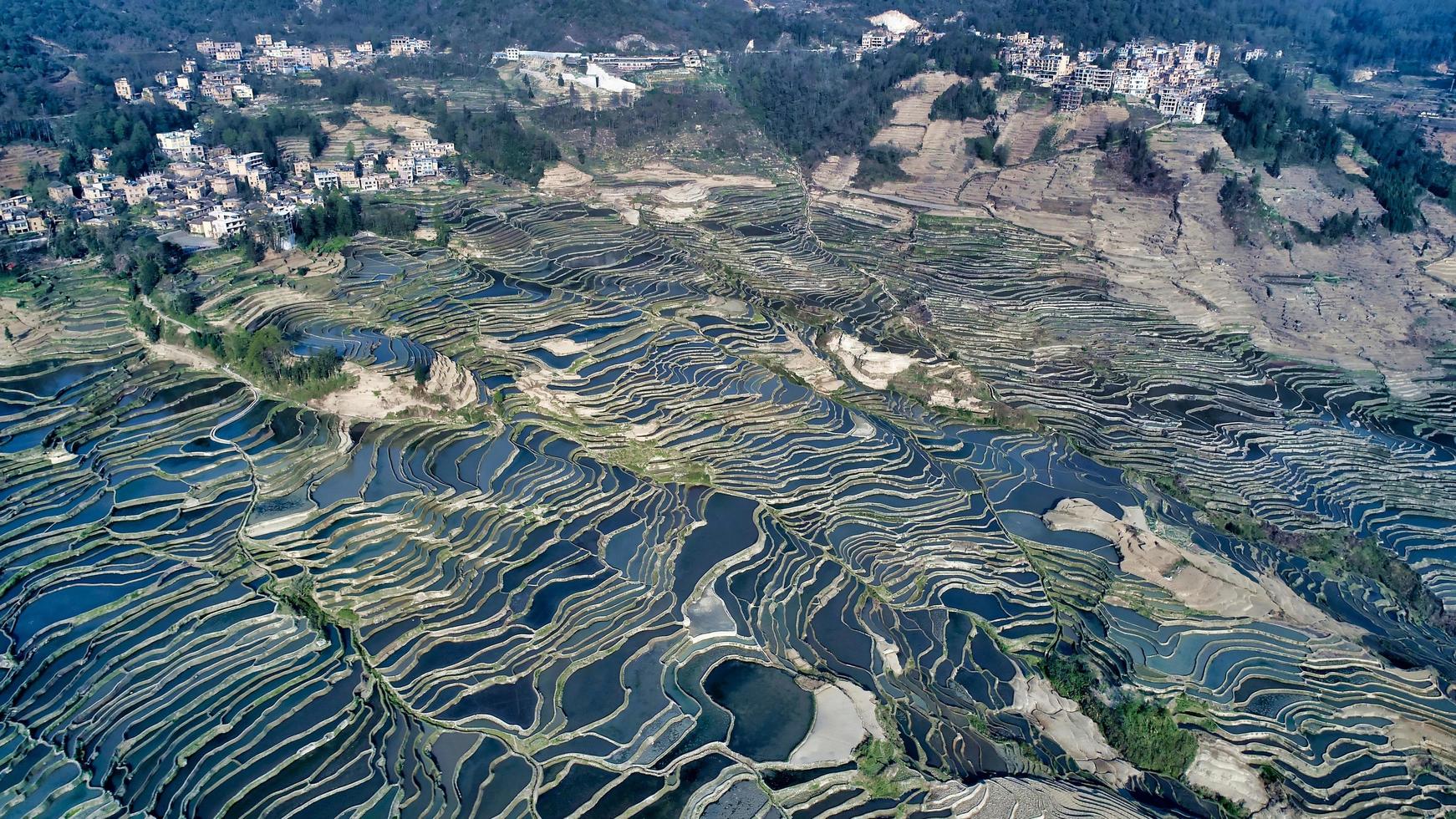 Yuanyang Terrassen im Morgenlicht foto