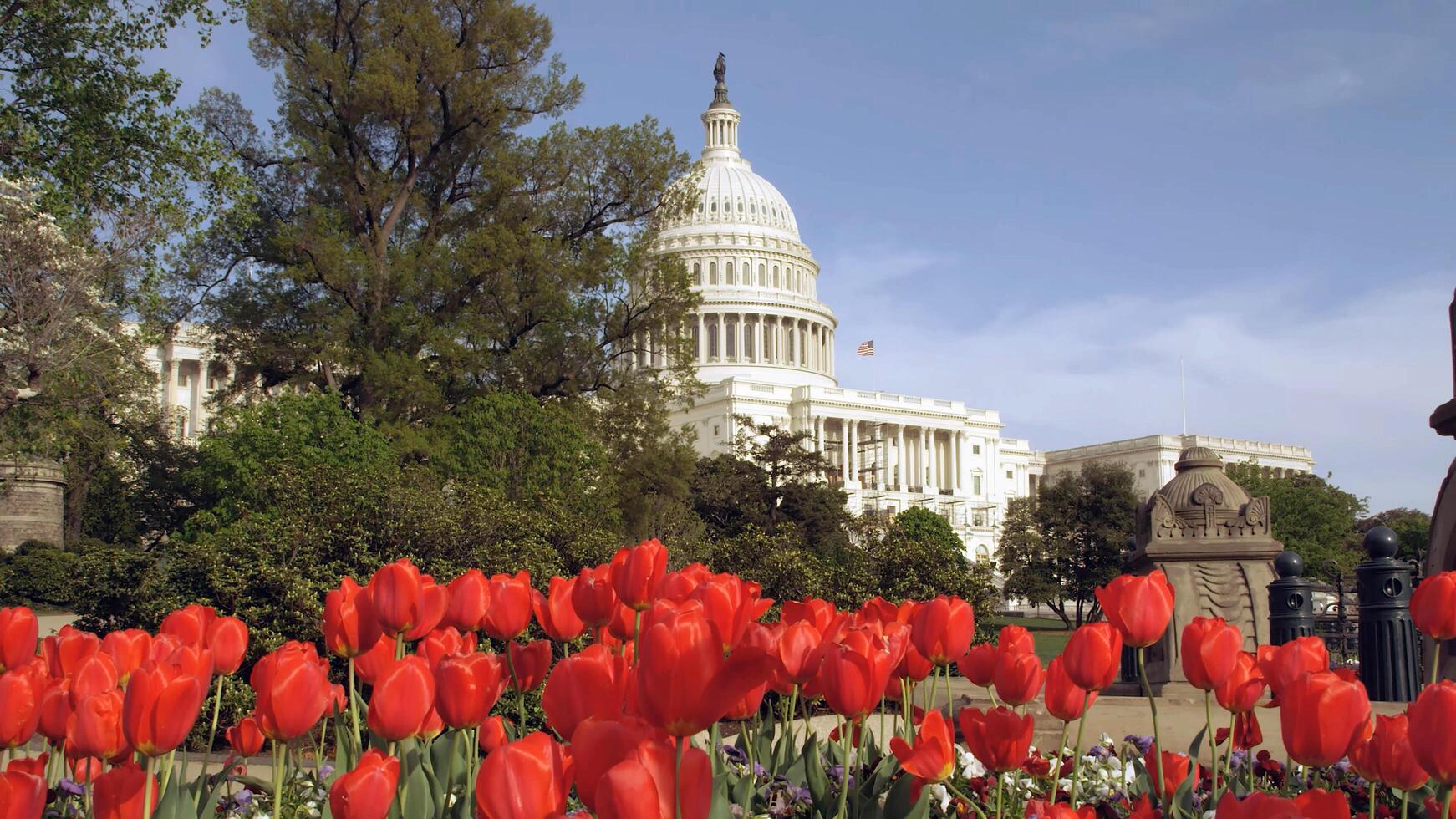 Washington gegen Seattle foto