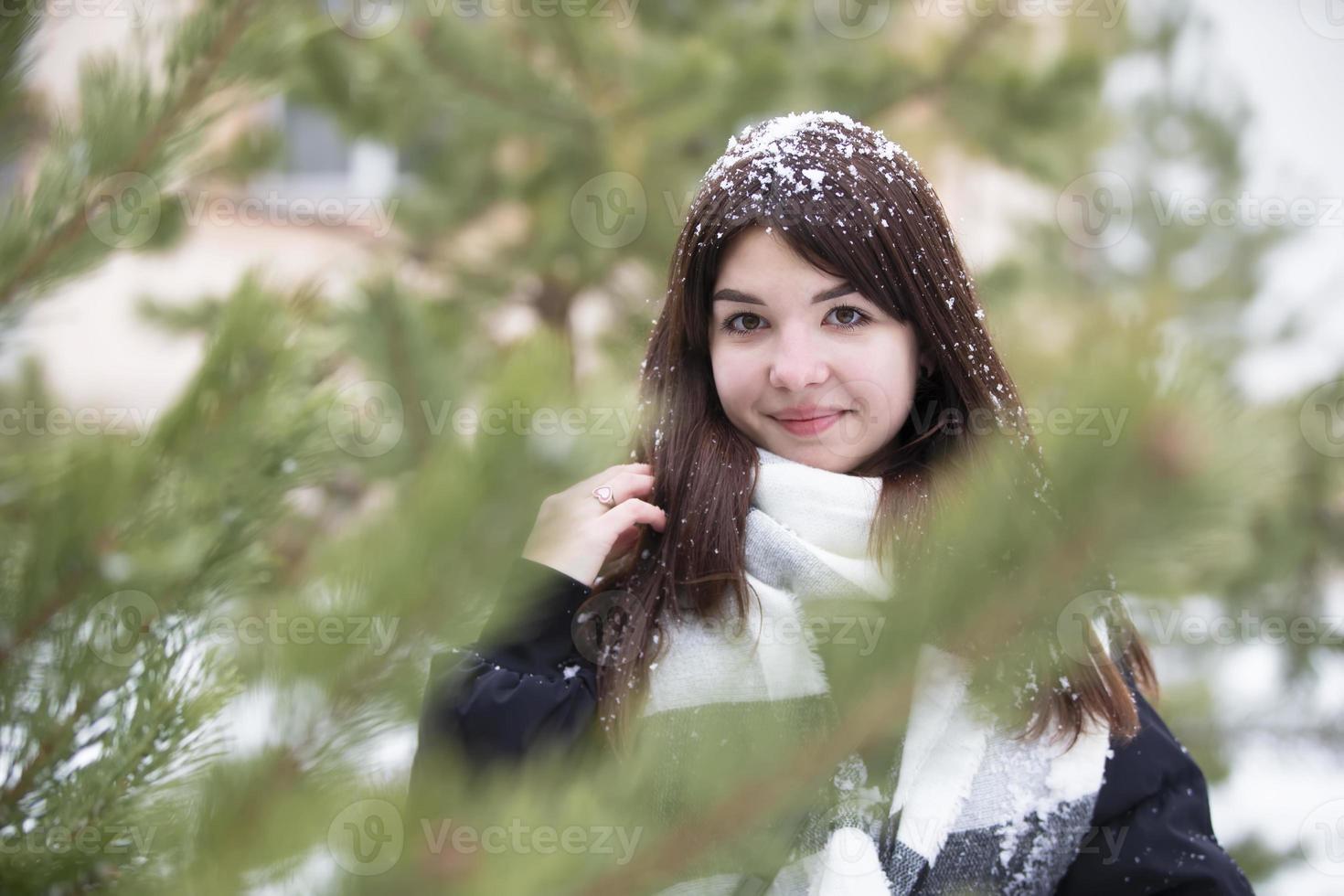 Schönes junges brünettes Mädchen an einem Wintertag vor dem Hintergrund von Tannenzweigen. foto