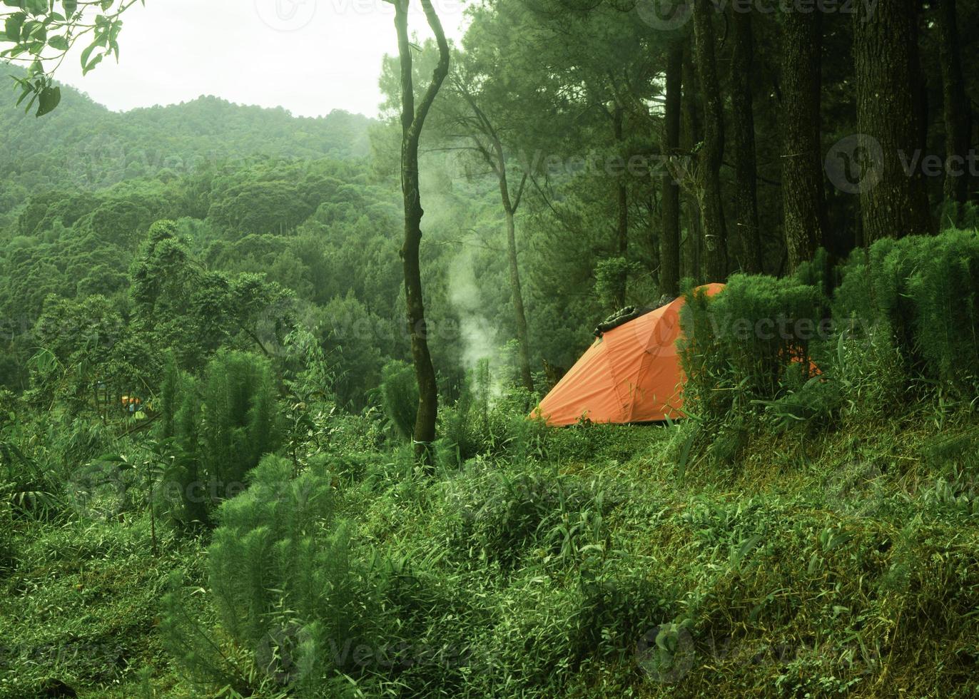 Camping im grünen Waldfoto foto