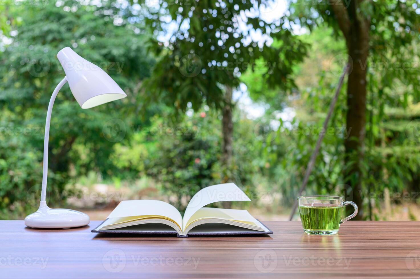 offenes Buch mit Tee und einer Lampe draußen foto