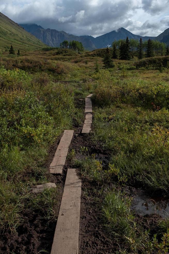 Wanderweg in Alaska foto