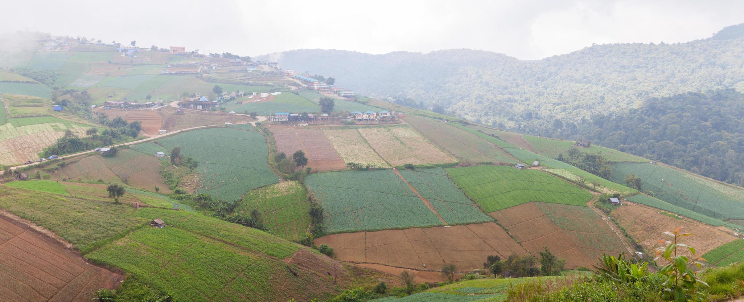 landwirtschaftliche Flächen in den Bergen foto