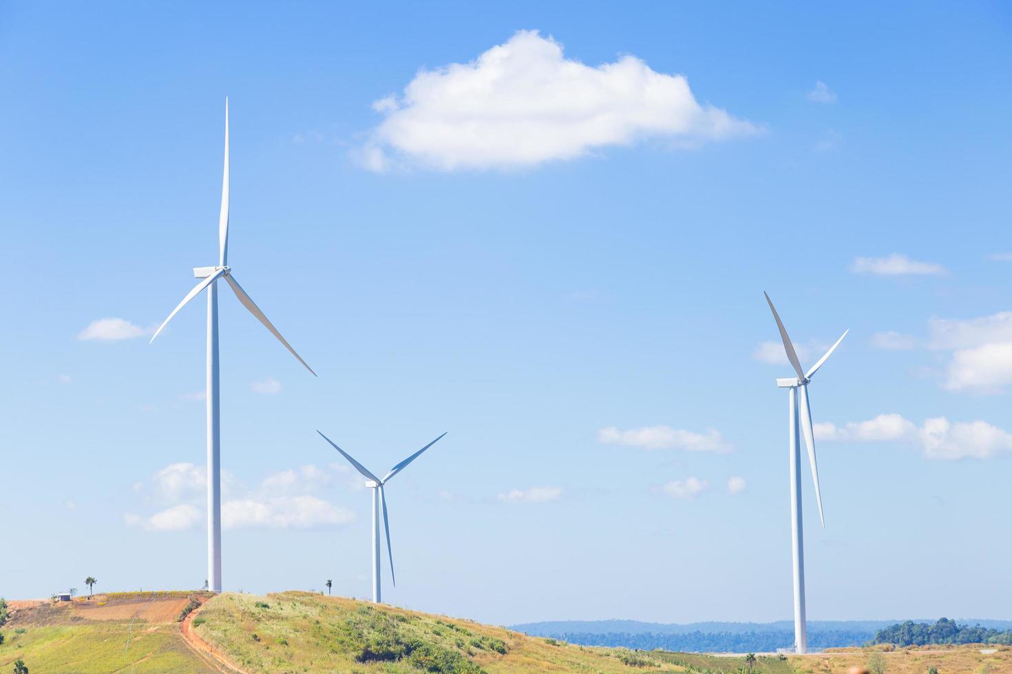 Windkraftanlagen zur Stromerzeugung foto