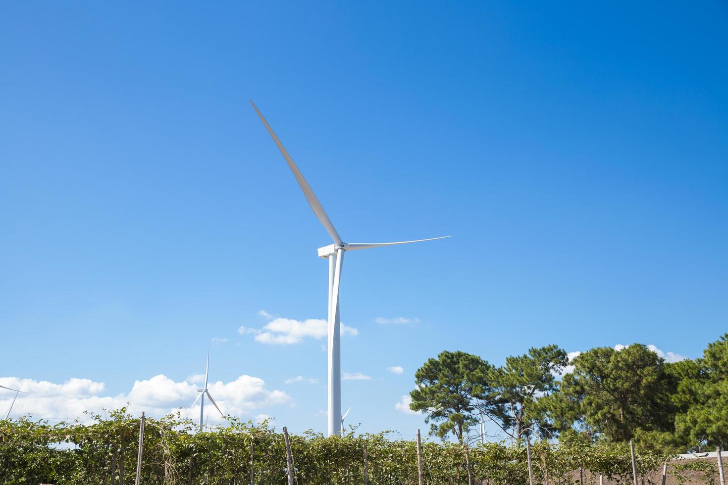 Windkraftanlagen zur Stromerzeugung foto