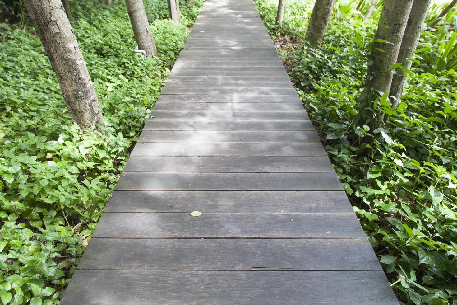 Holzbrücke in einem Park in Thailand foto