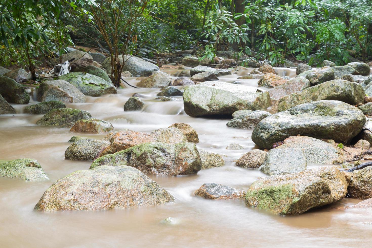 Fluss im Dschungel foto