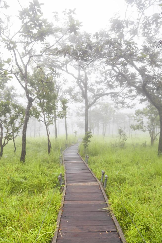 Holzsteg in Thailand foto