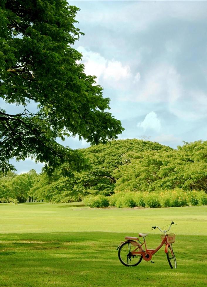 rotes Fahrrad im grünen Gras foto