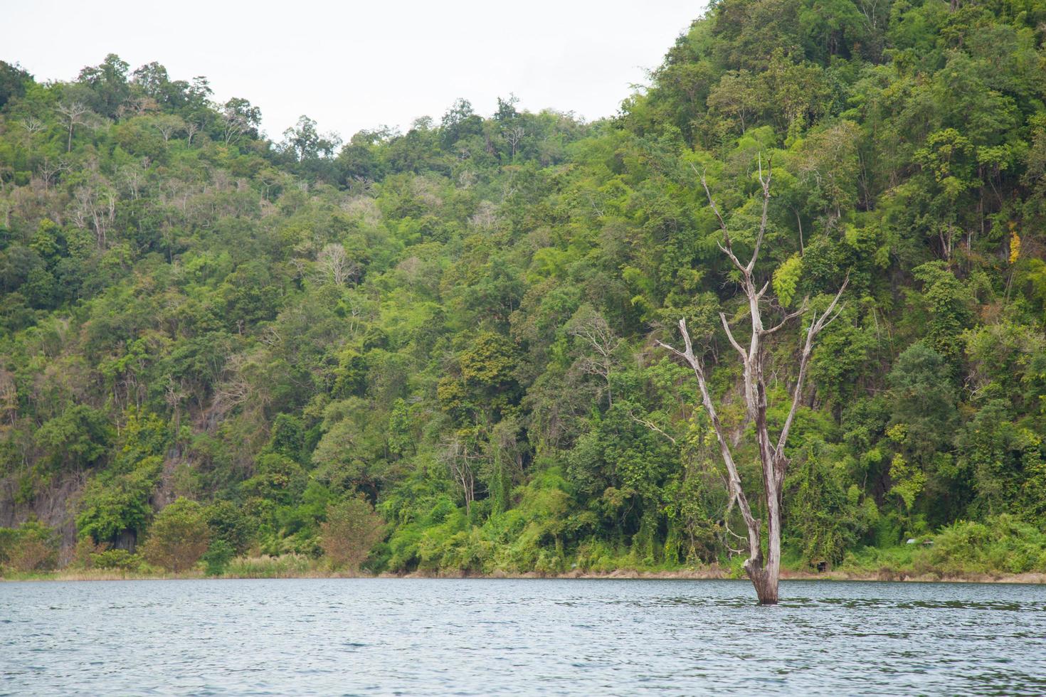 Landschaft in Thailand foto