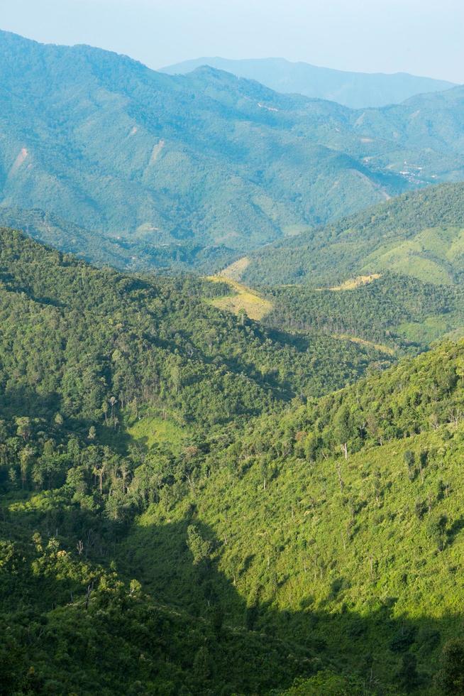 Wald und Berge in Thailand foto