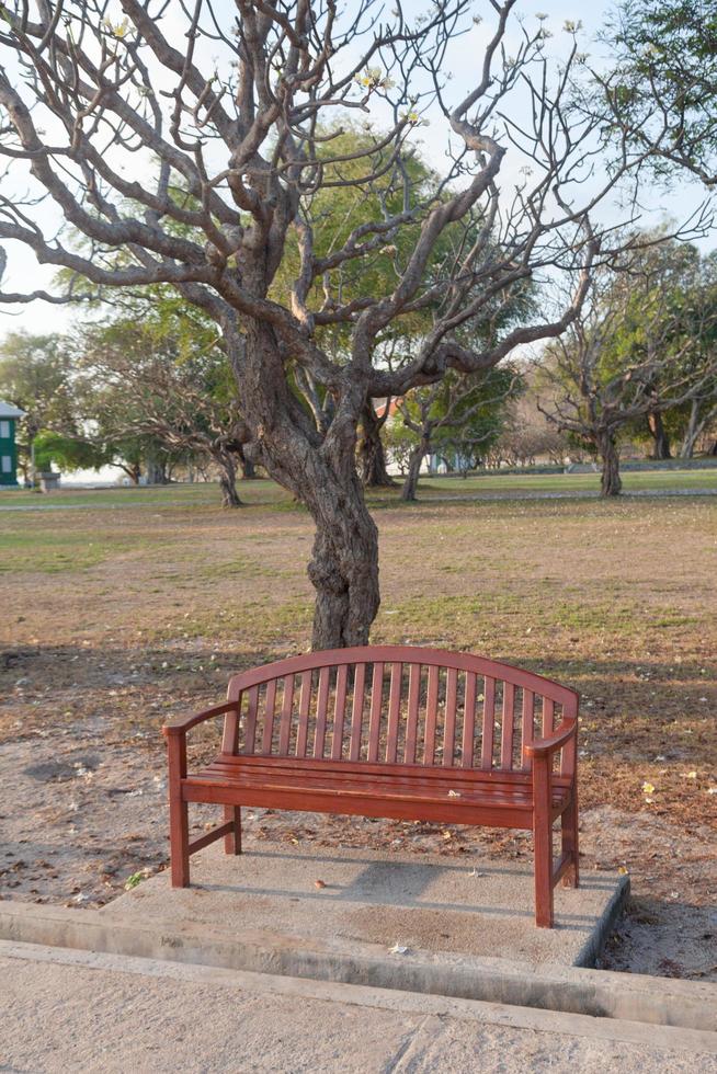 Bank unter dem Baum foto