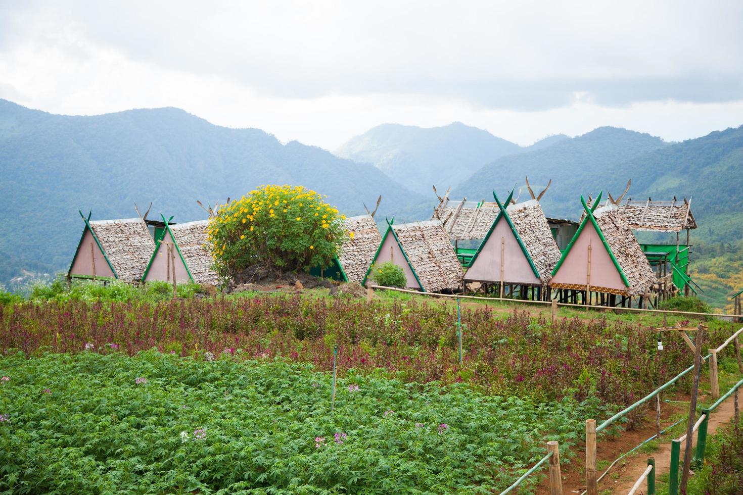 Hütten auf einem Bauernhof in Thailand foto