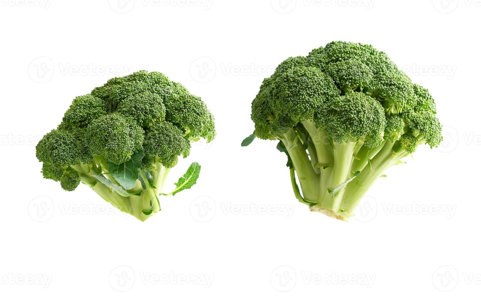 frischer grüner Brokkoli Kohl isoliert auf weißem Hintergrund foto