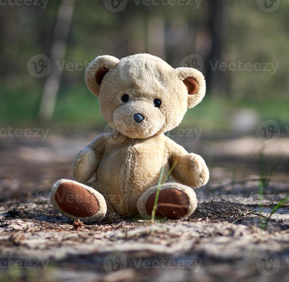Verlassener brauner Teddybär, der abends mitten im Wald sitzt foto