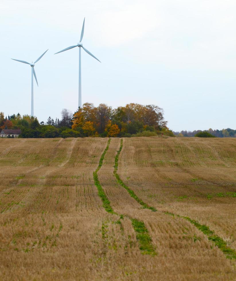 zwei Windkraftanlagen auf einem Feld foto