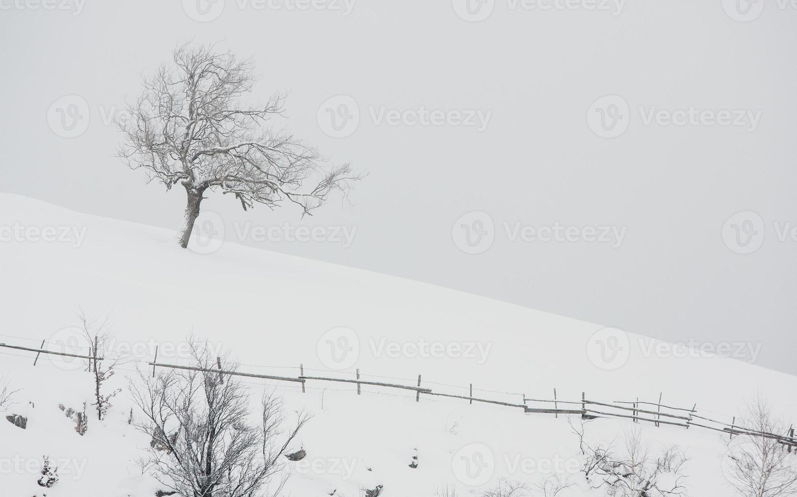 ein reichlicher schneefall in den rumänischen karpaten im dorf sirnea, brasov. echter Winter mit Schnee auf dem Land foto