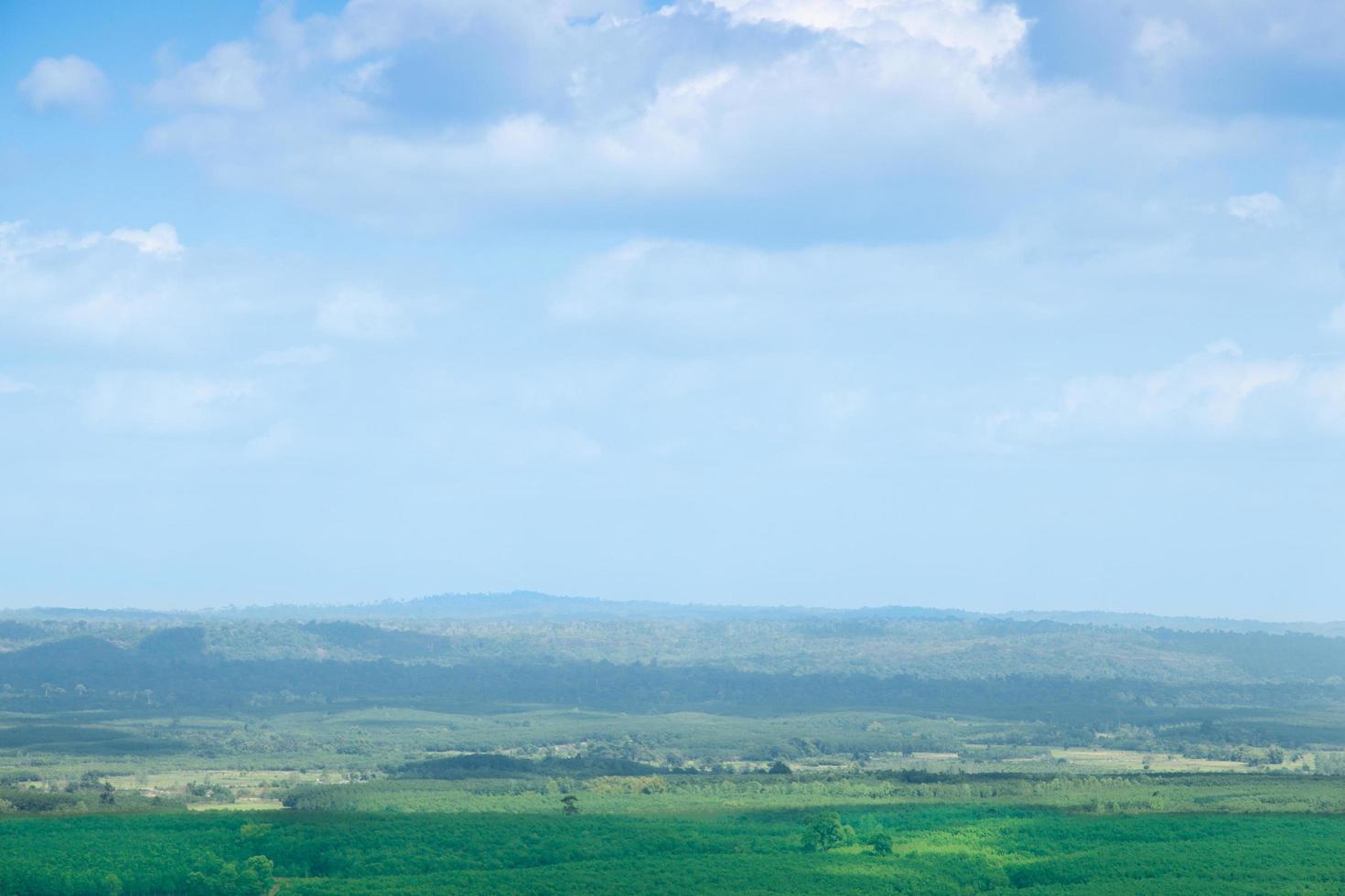 Wald- und Landwirtschaftsgebiete in Thailand foto