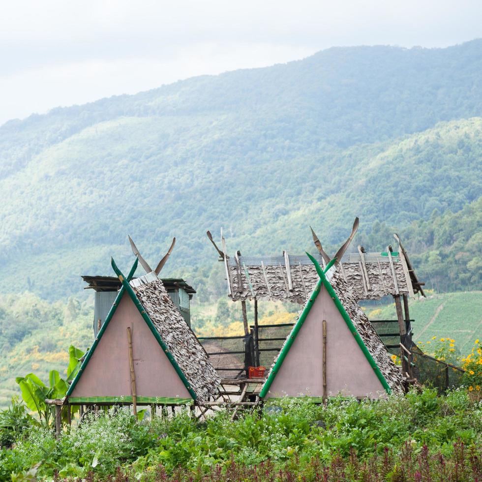 Hütten auf einem Bauernhof in Thailand foto