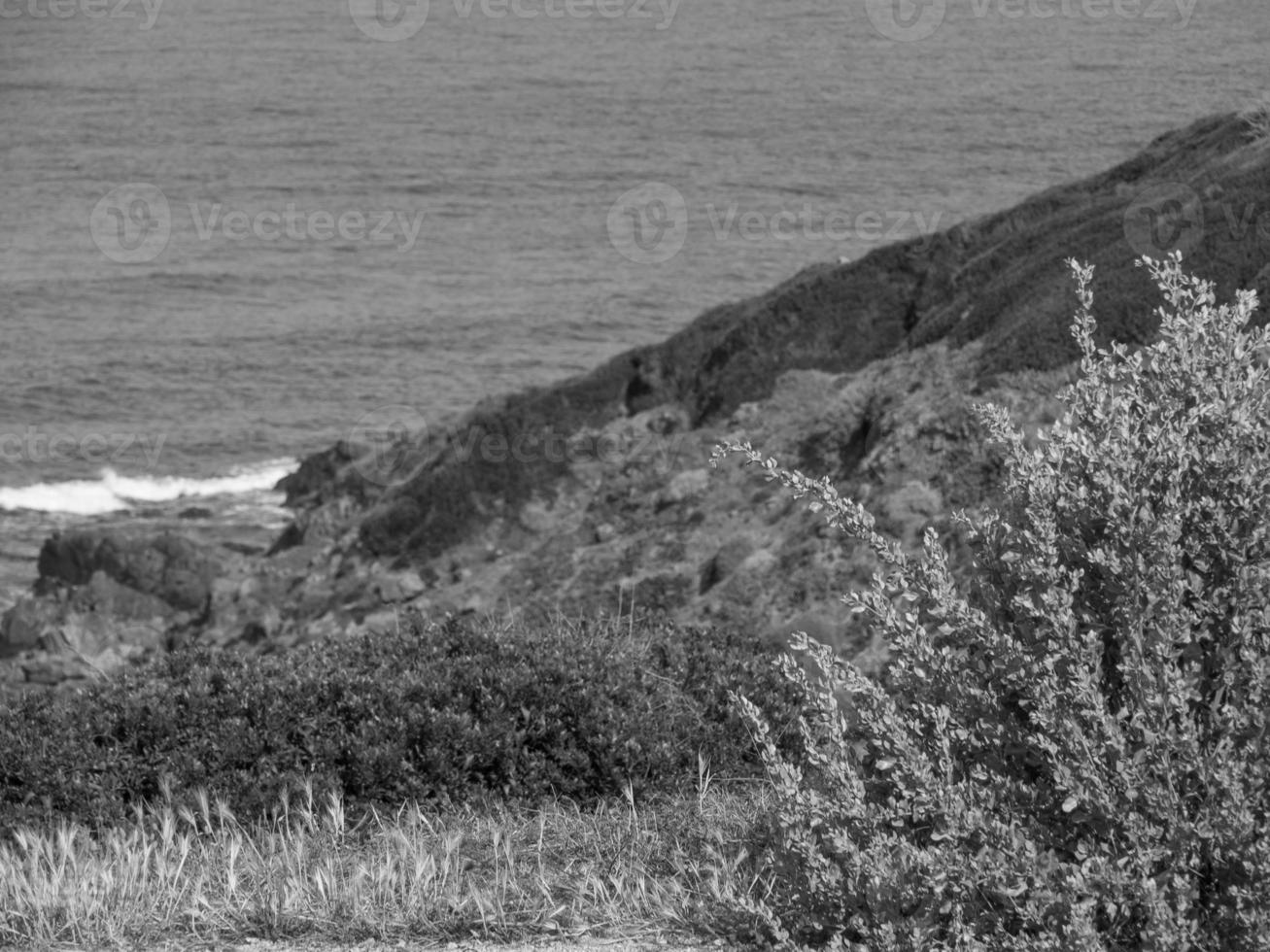 die Insel Korsika foto