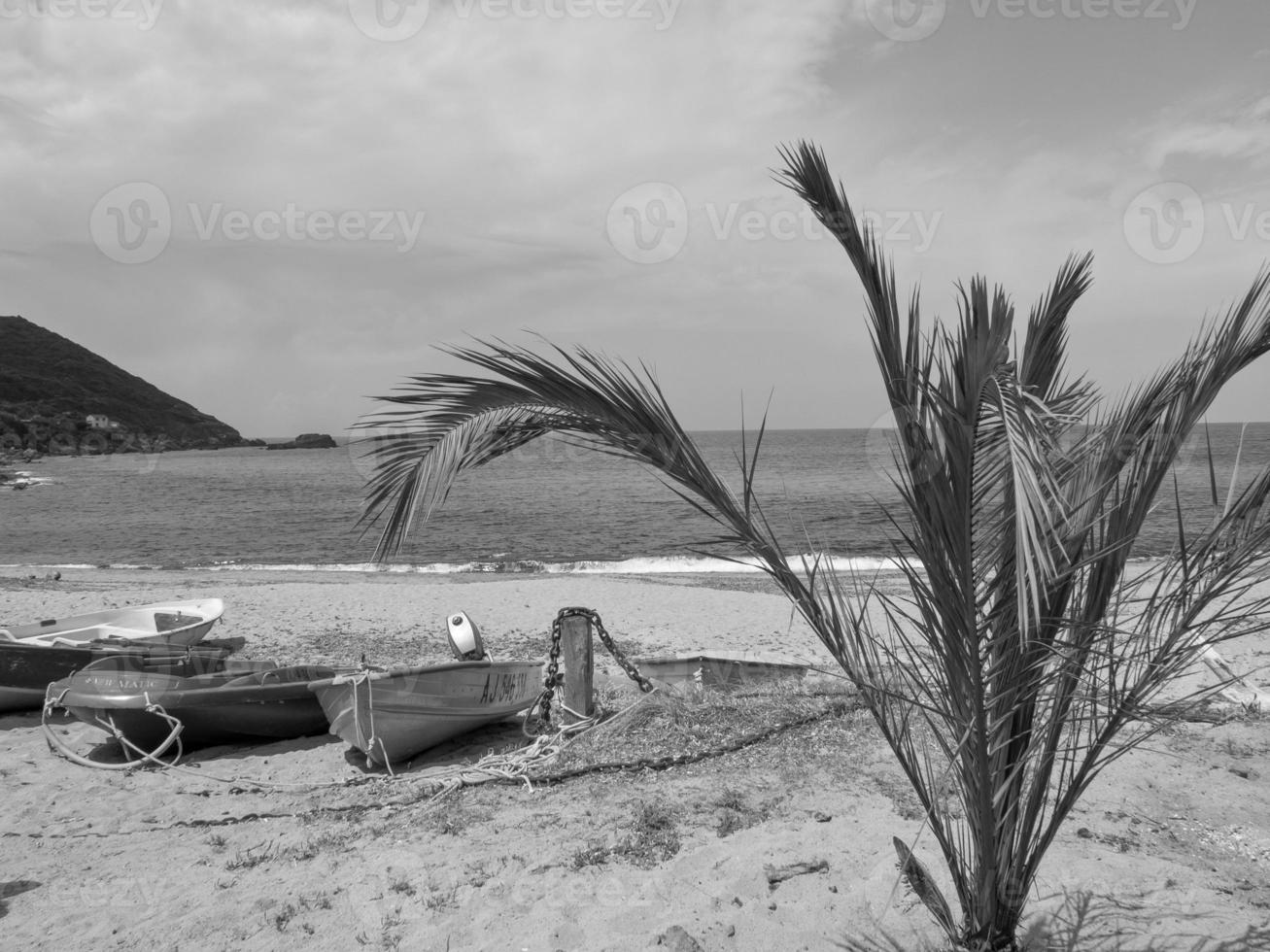 Insel Korsika in Frankreich foto