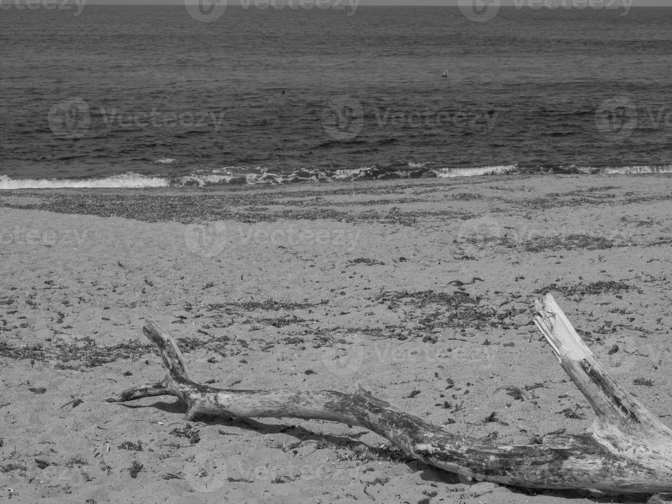 Insel Korsika in Frankreich foto