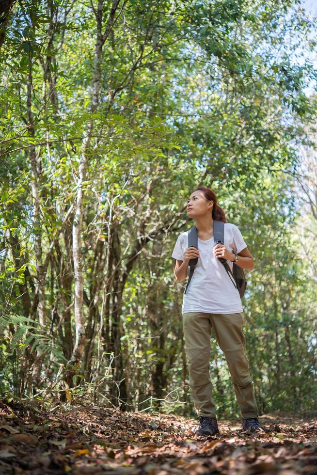 aktiver Wanderer der jungen Frau, der durch den Wald geht foto