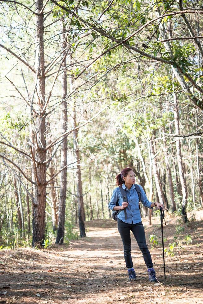 Frauen, die mit einem Rucksack durch einen Kiefernwald wandern foto