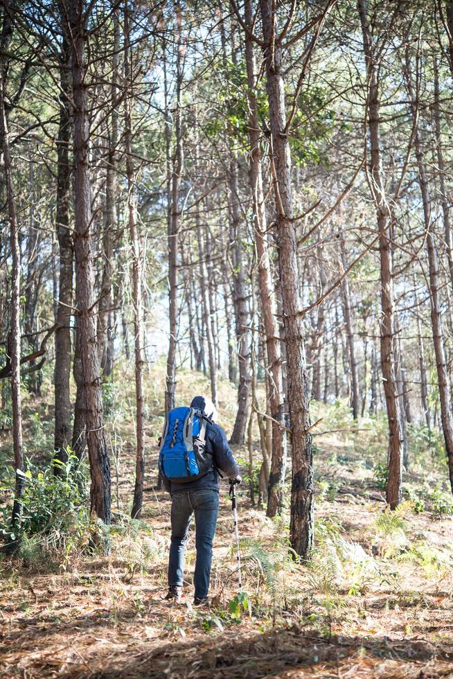 Hinten eines jungen Mannes mit Rucksack geht es weiter auf den Berg foto