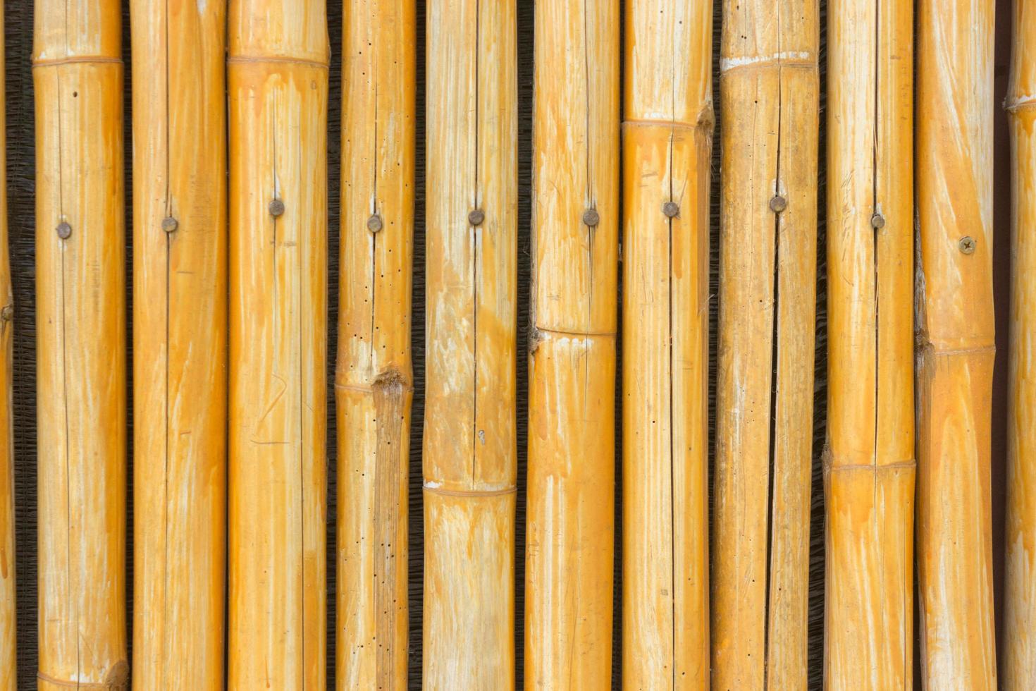 gelber Bambuszaun für Hintergrund foto
