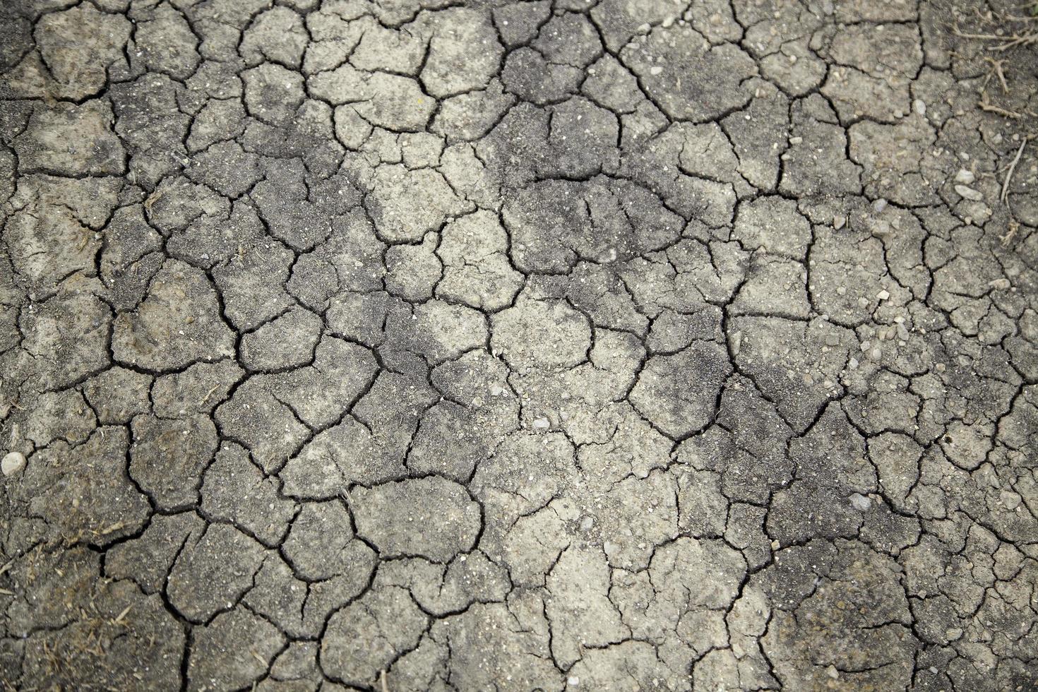 trockener Boden durch Dürre foto