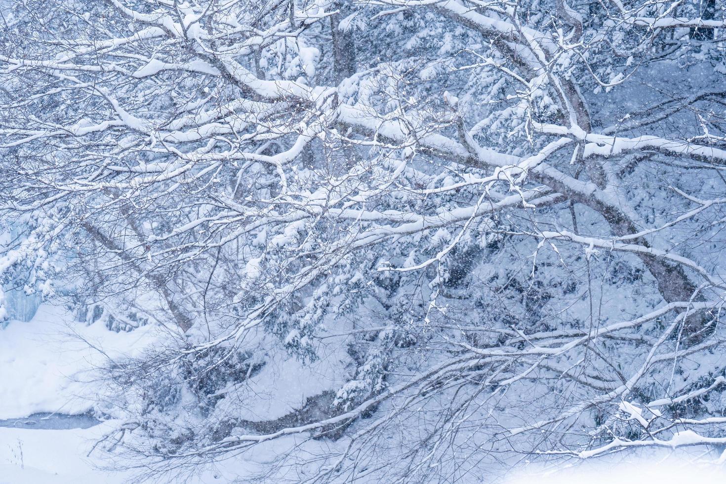 Starker Schneefall am Fluss im Dorf Heike No Sato in der Präfektur Tochigi, Stadt Nikko, Japan foto