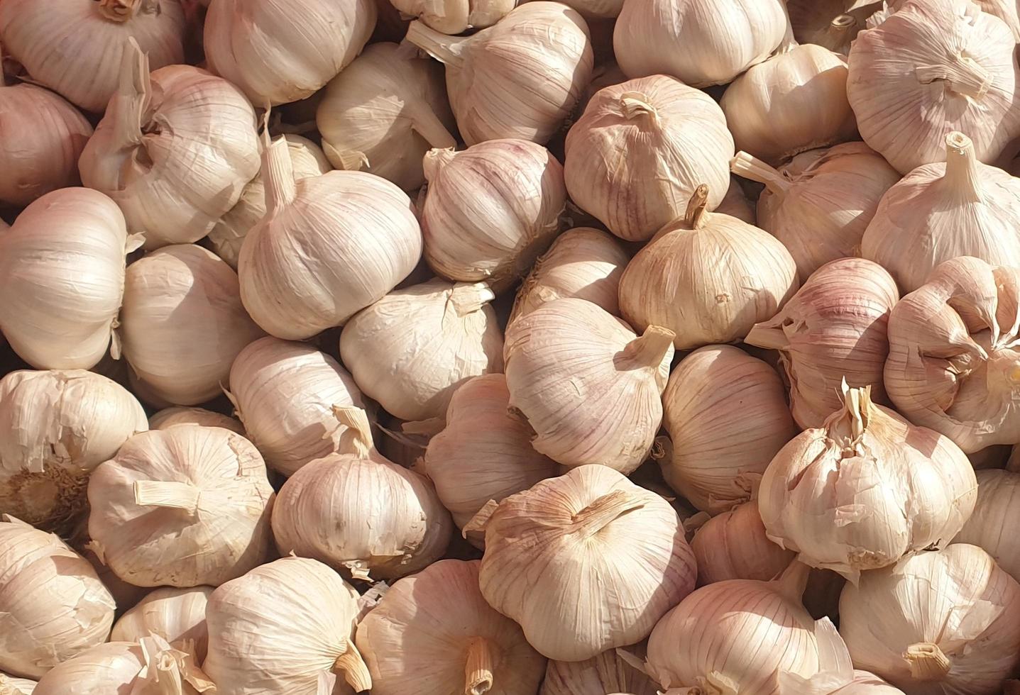 knoblauch weiß grau silber lebensmittel bio rezept gewürz foto