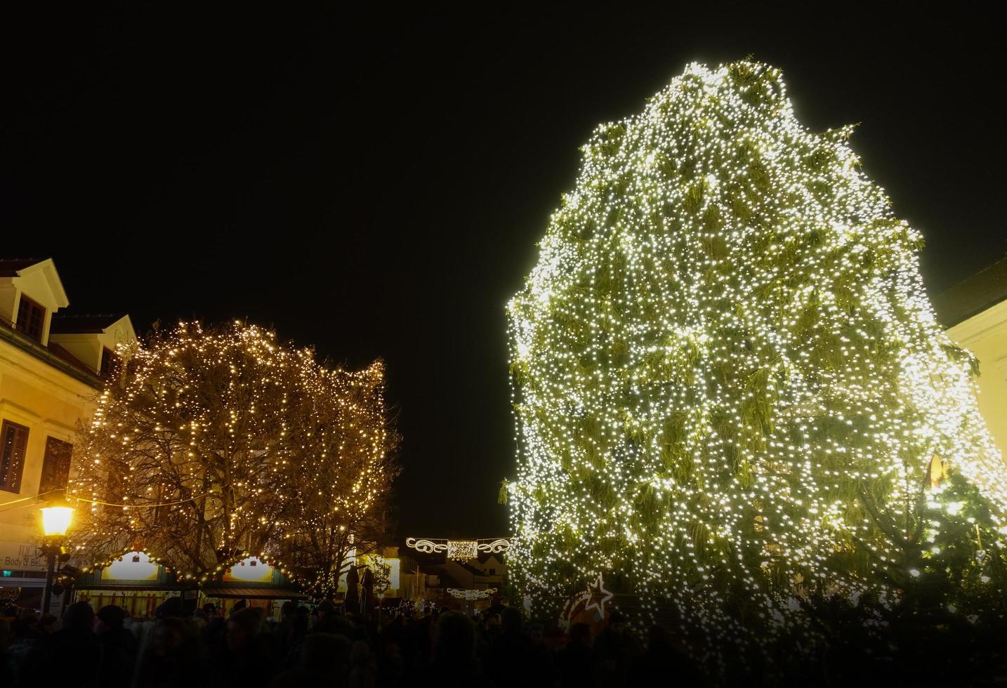 wunderbar beleuchtete Bäume in der Nacht während eines Adventmarktes foto