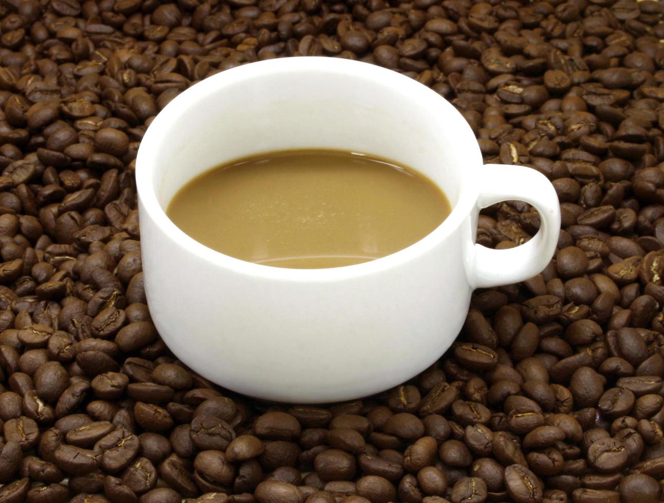 Kaffeetasse auf Kaffeebohnen foto