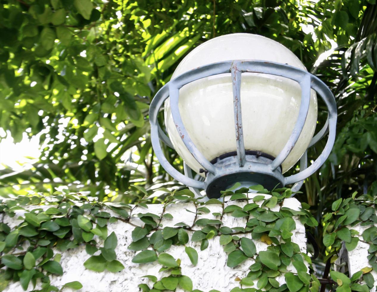 Zaun mit Lampe foto