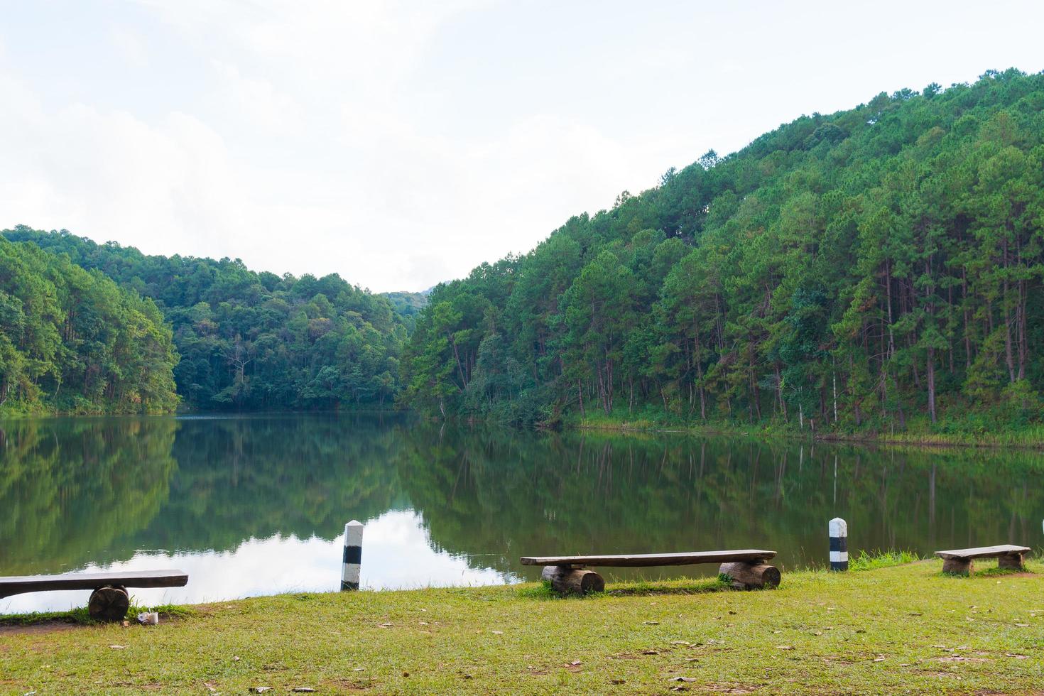 Wald und Stausee in Thailand foto