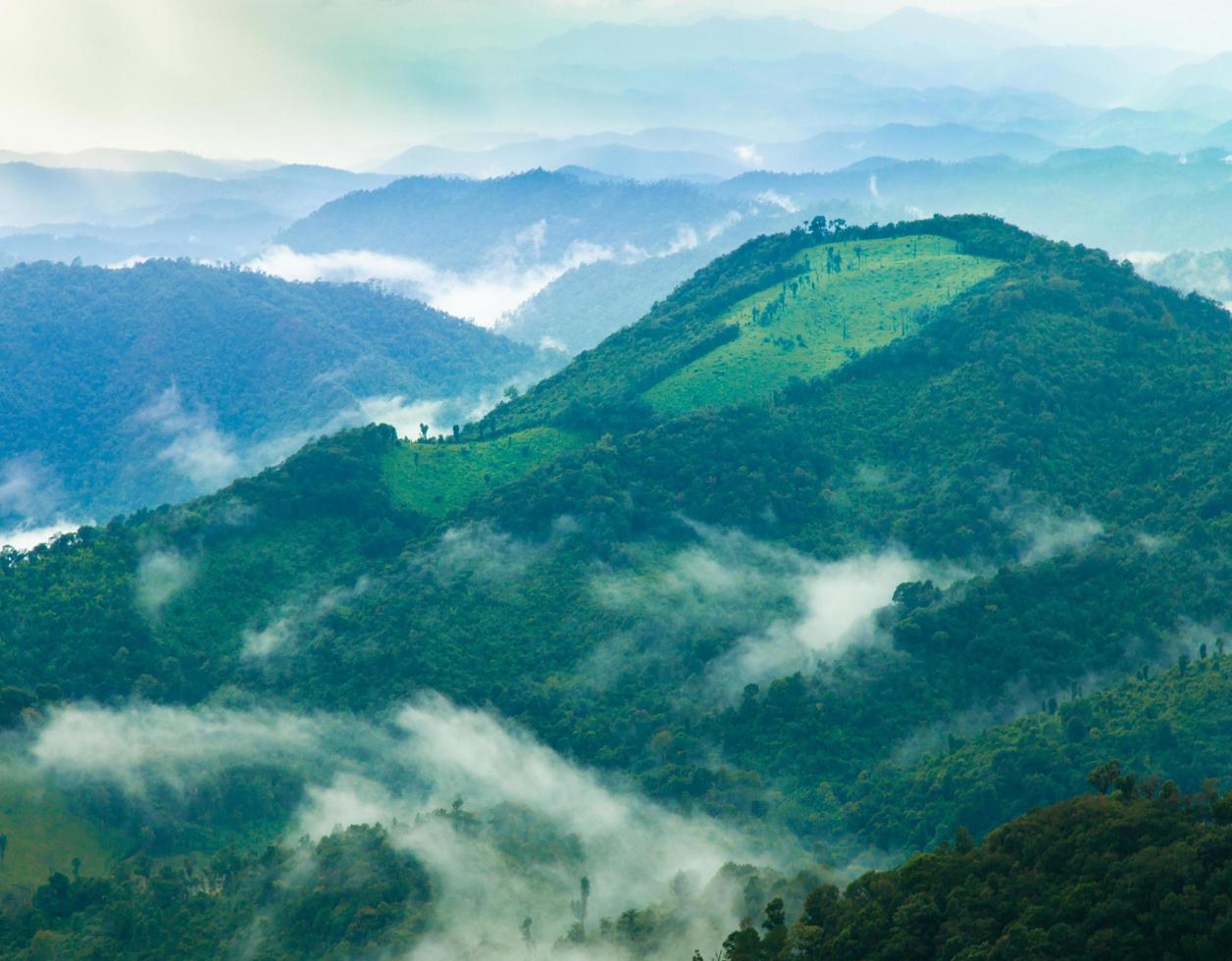 Berge und Wald foto