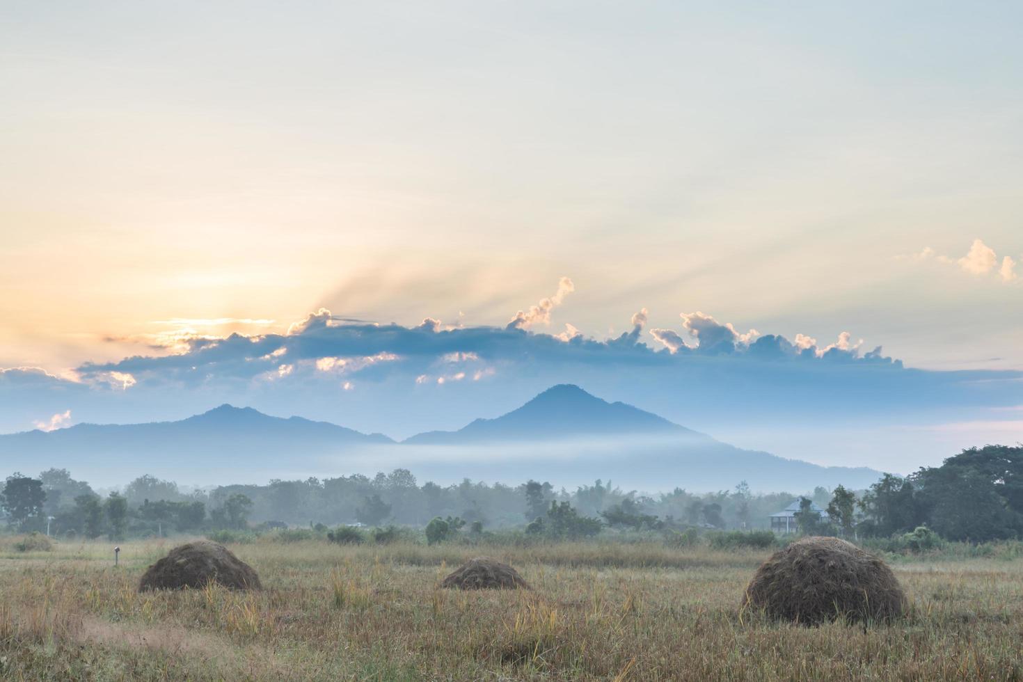 Wiese und Berge bei Sonnenaufgang foto